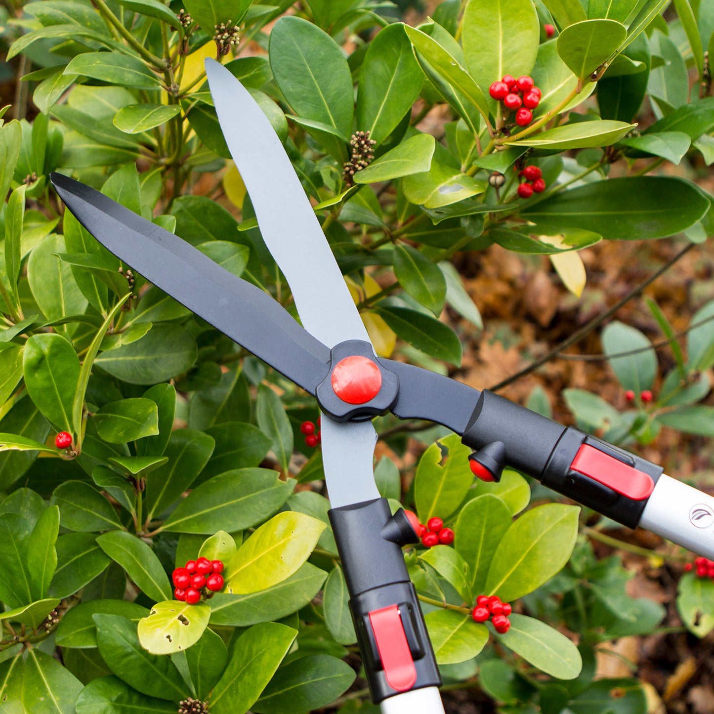 Telescopic Hedge Shear DP810