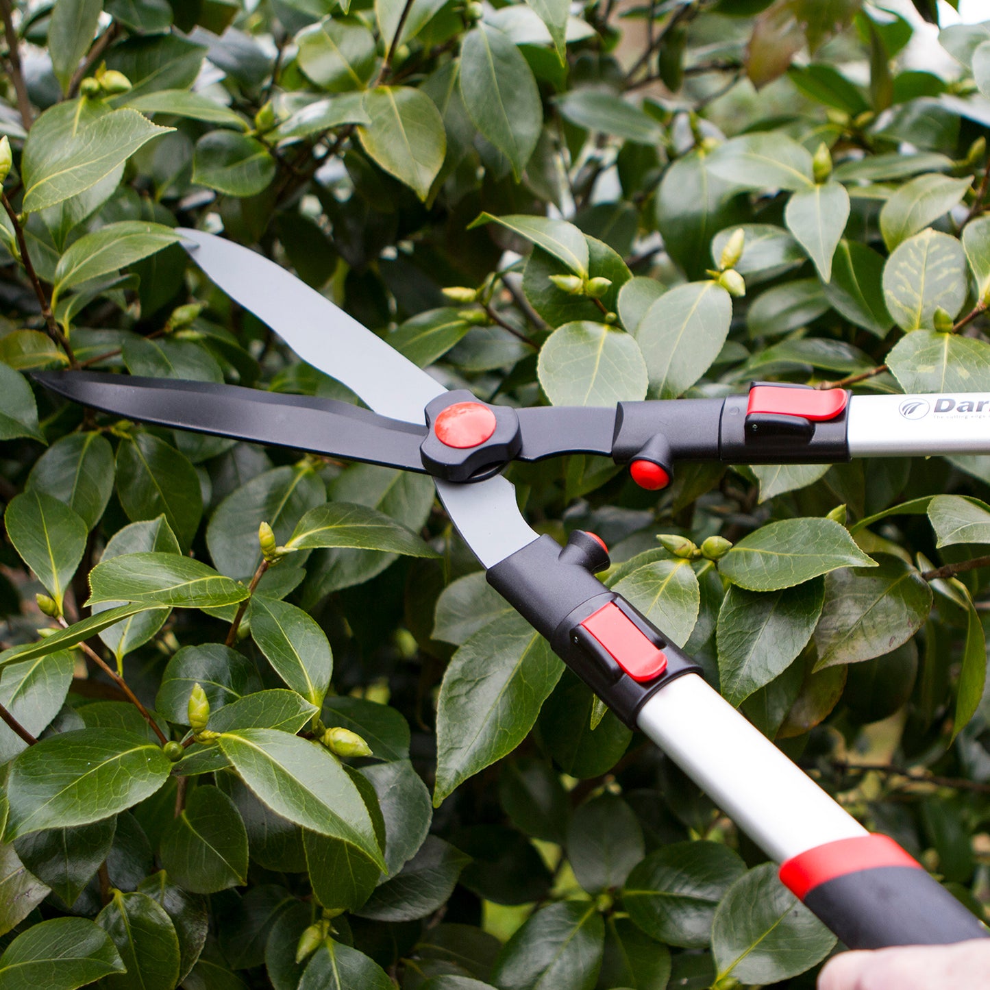 Telescopic Hedge Shear DP810