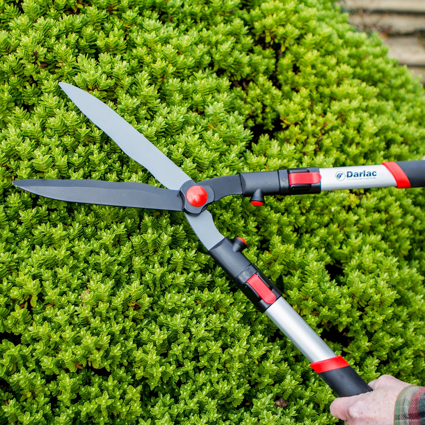 Telescopic Hedge Shear DP810