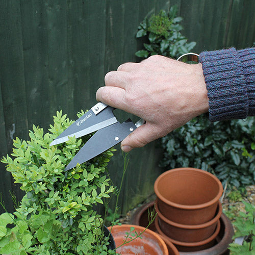 Stainless Steel Topiary Shear Sml DP852