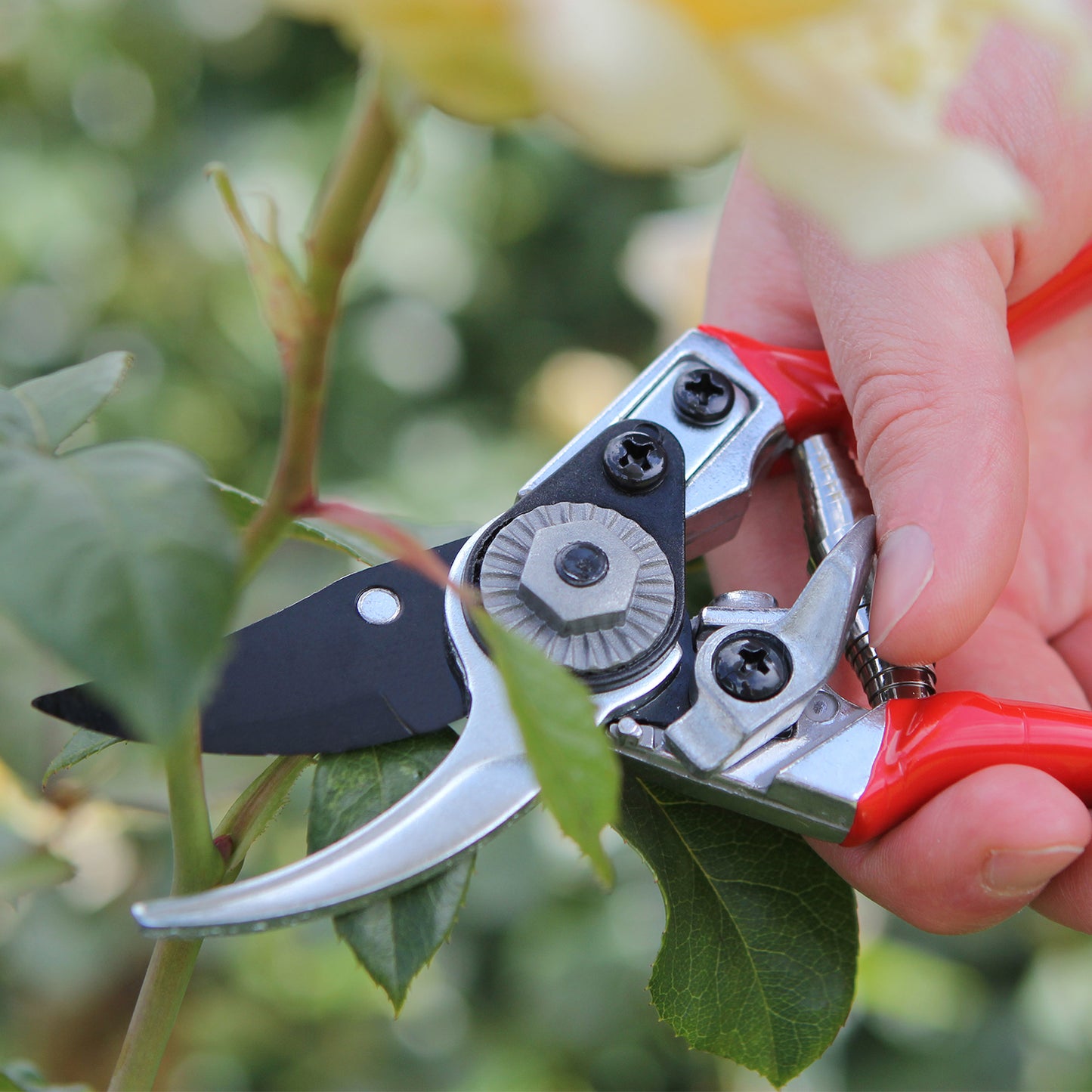 Ladies Prof Pruner DP930