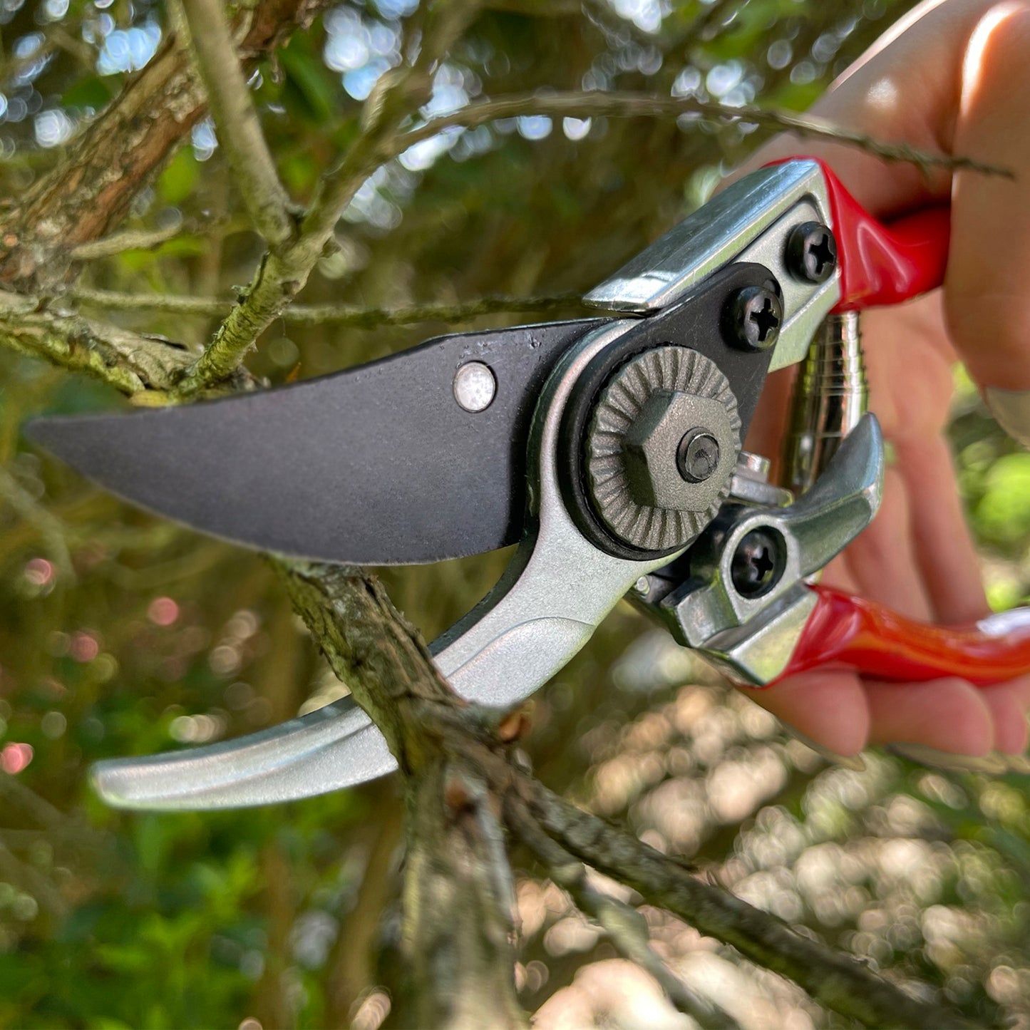 Ladies Prof Pruner DP930