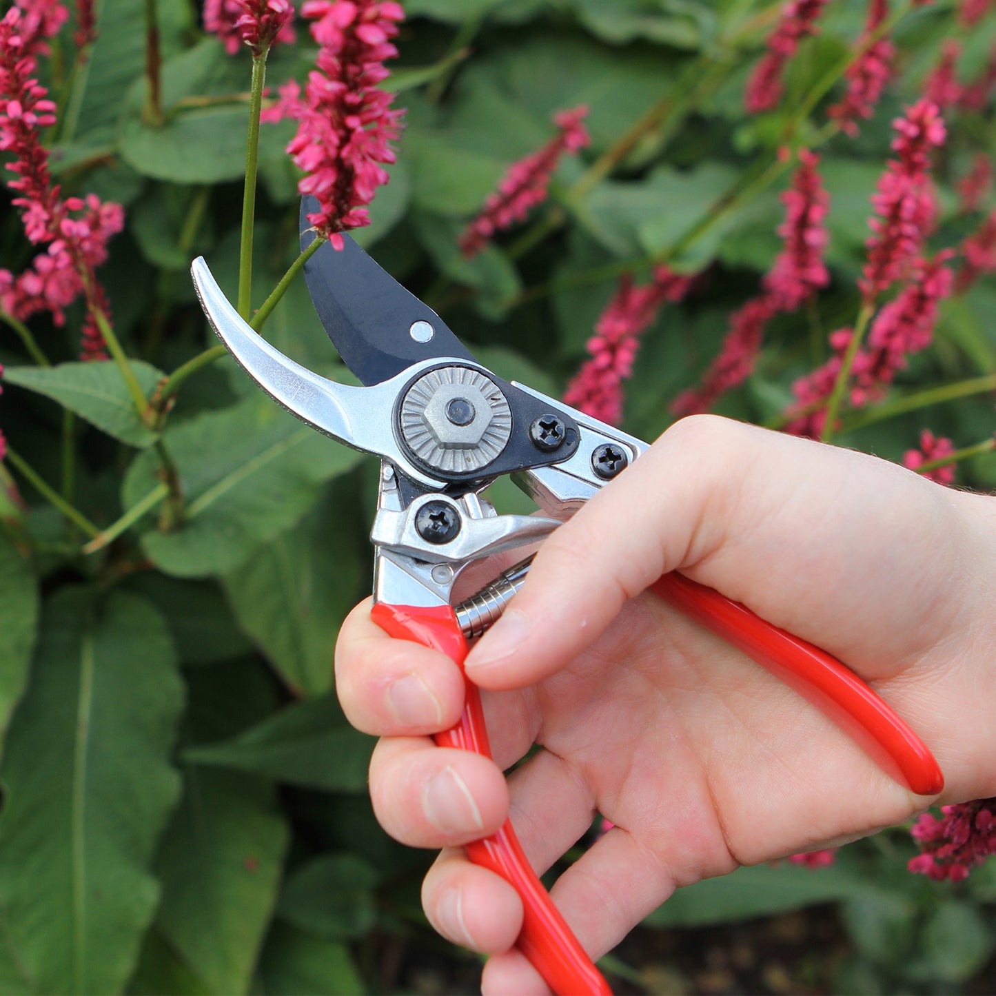 Ladies Prof Pruner DP930