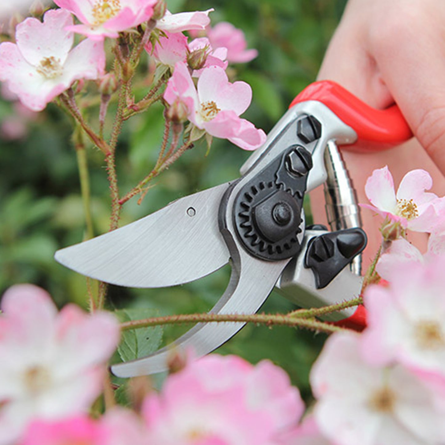 Expert Bypass Pruner DP1030A