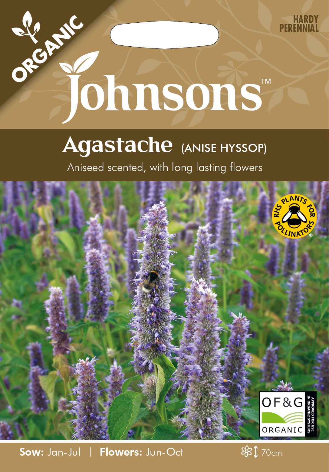 Organic AGASTACHE (Anise Hyssop)