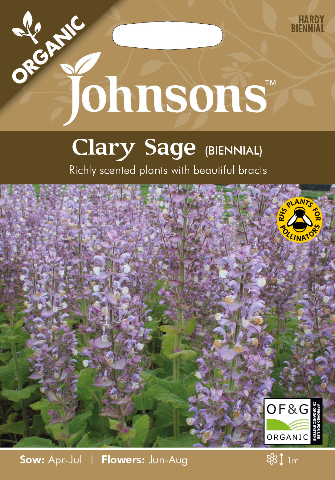 Organic CLARY SAGE (Biennial)
