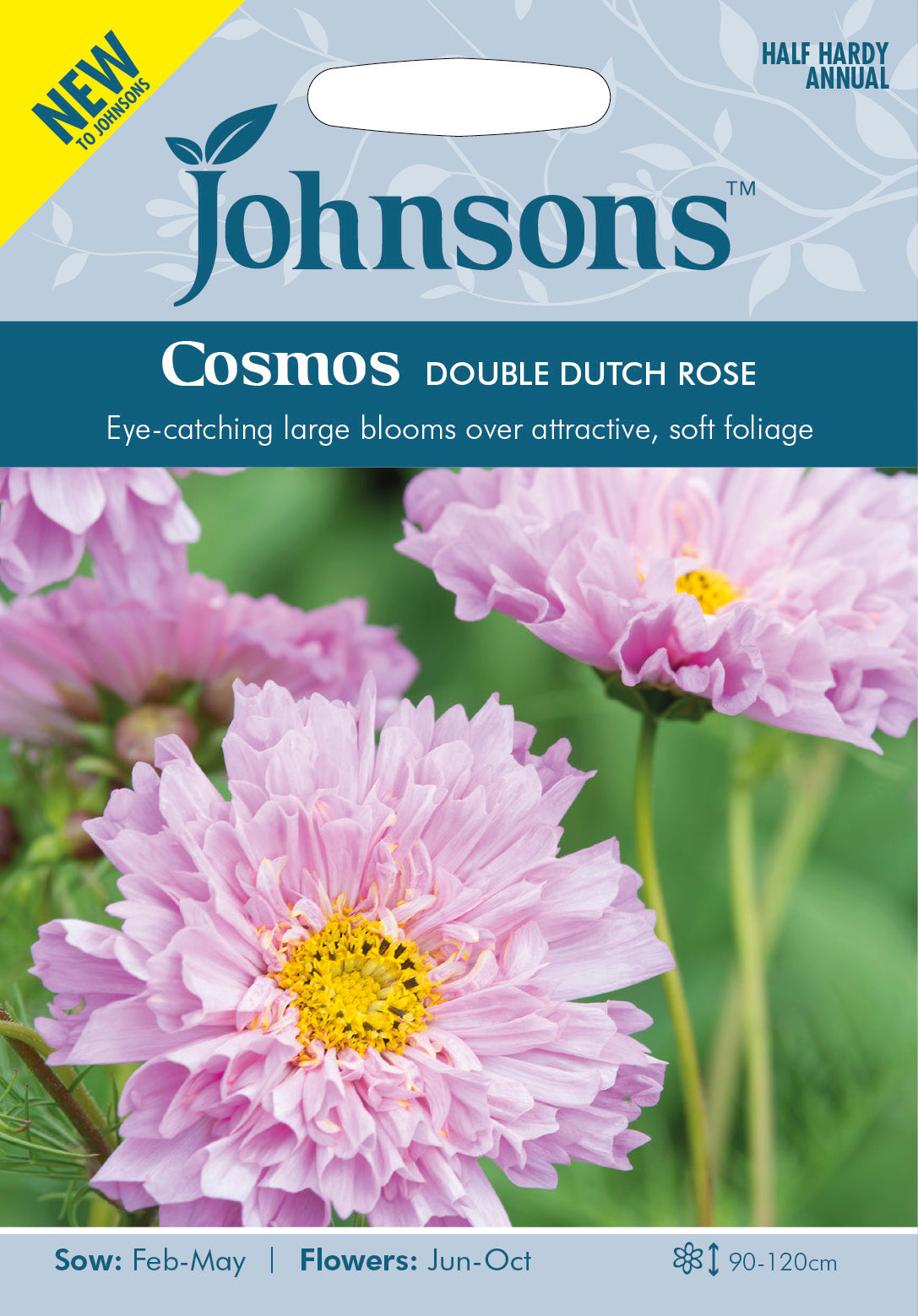 COSMOS Double Dutch Rose