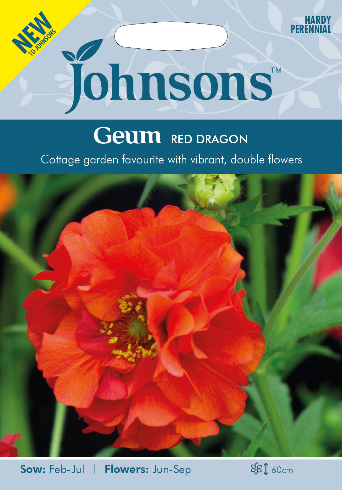 GEUM Red Dragon
