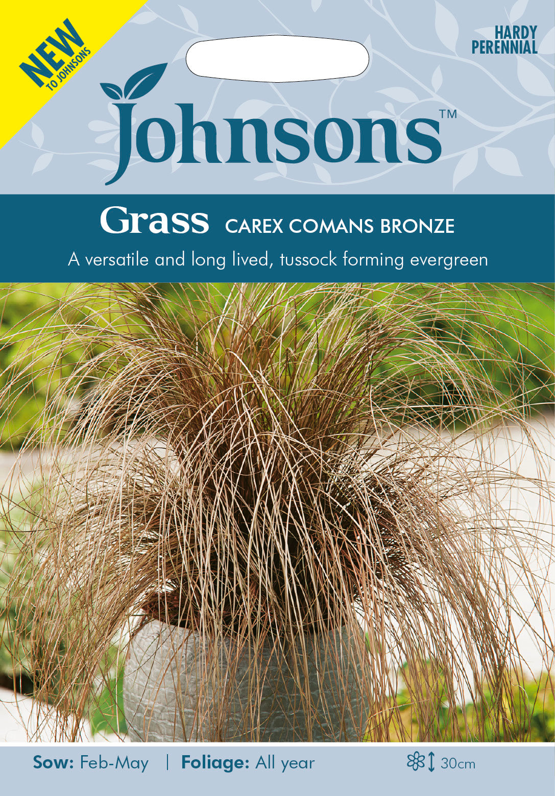 GRASS Carex Comans Bronze