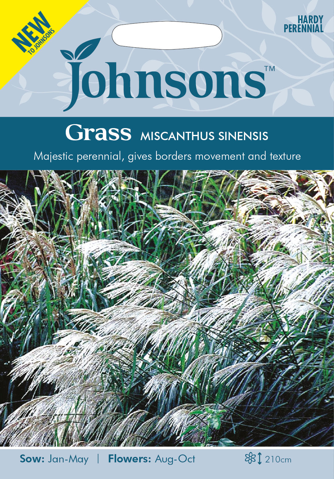 GRASS Miscanthus sinensis