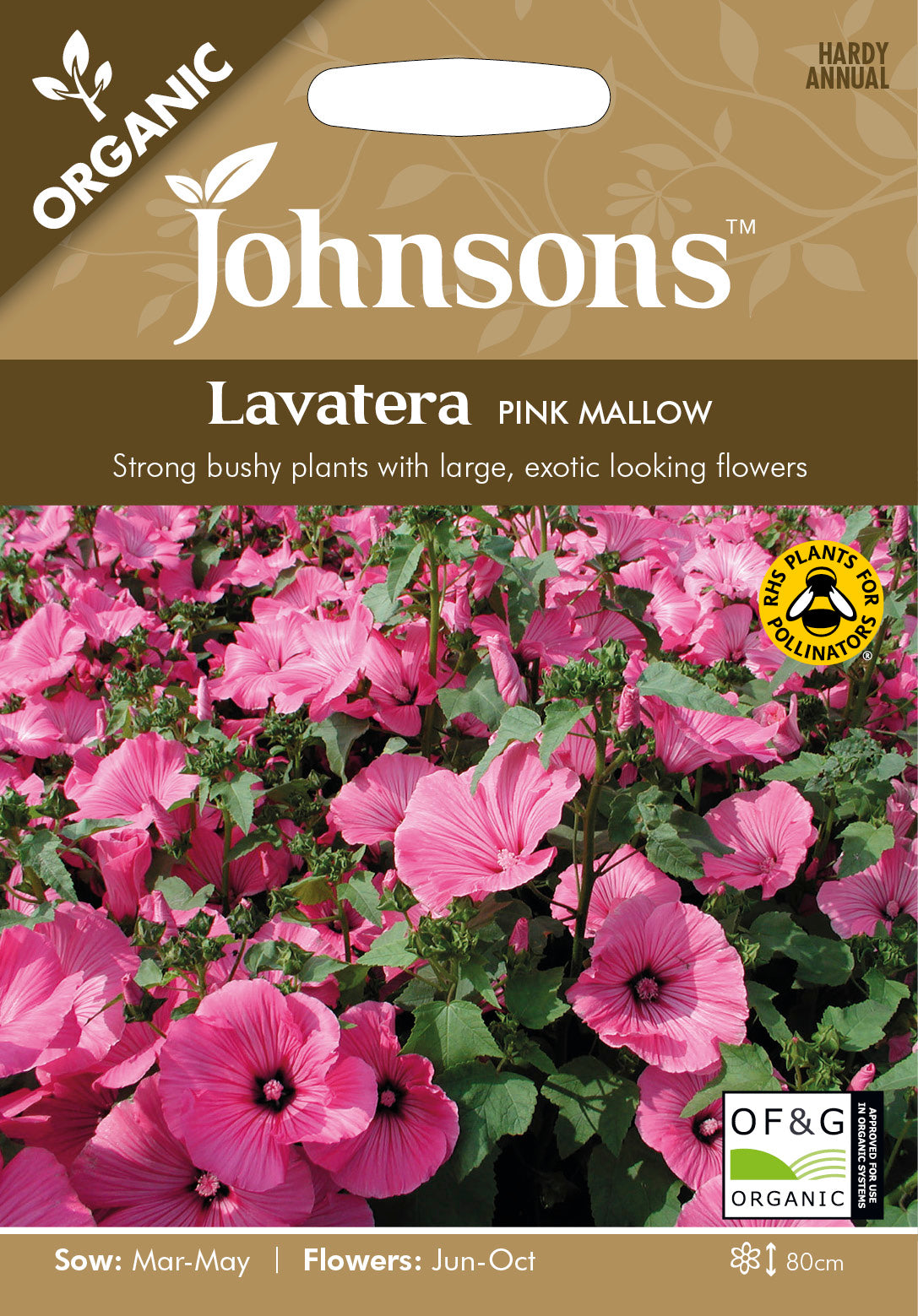Organic LAVATERA Pink Mallow
