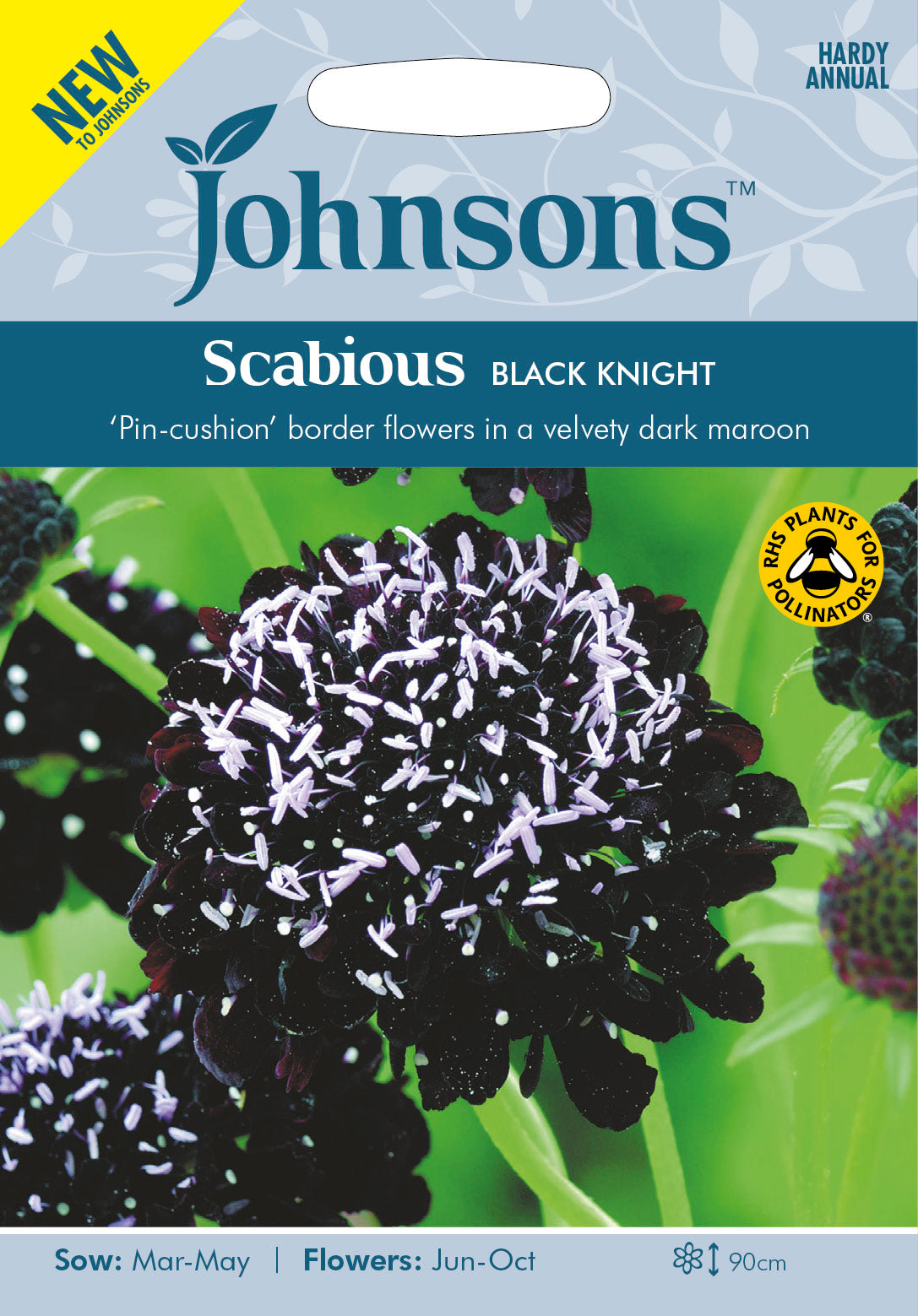 SCABIOUS Black Knight