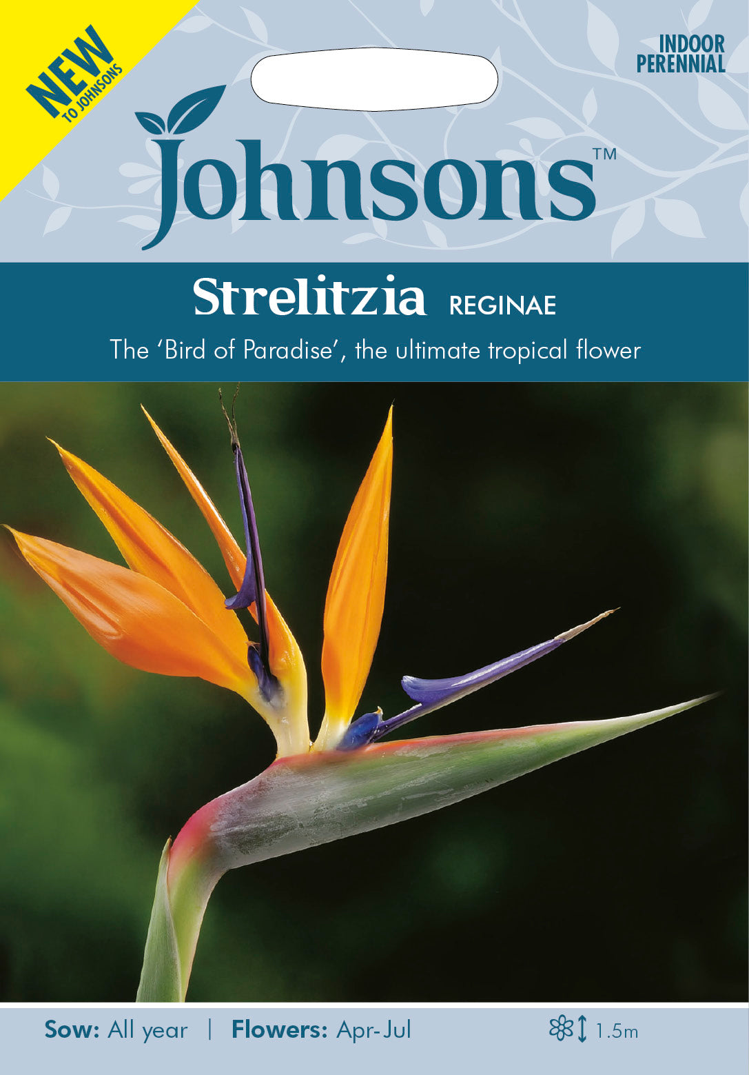 STRELITZIA reginae