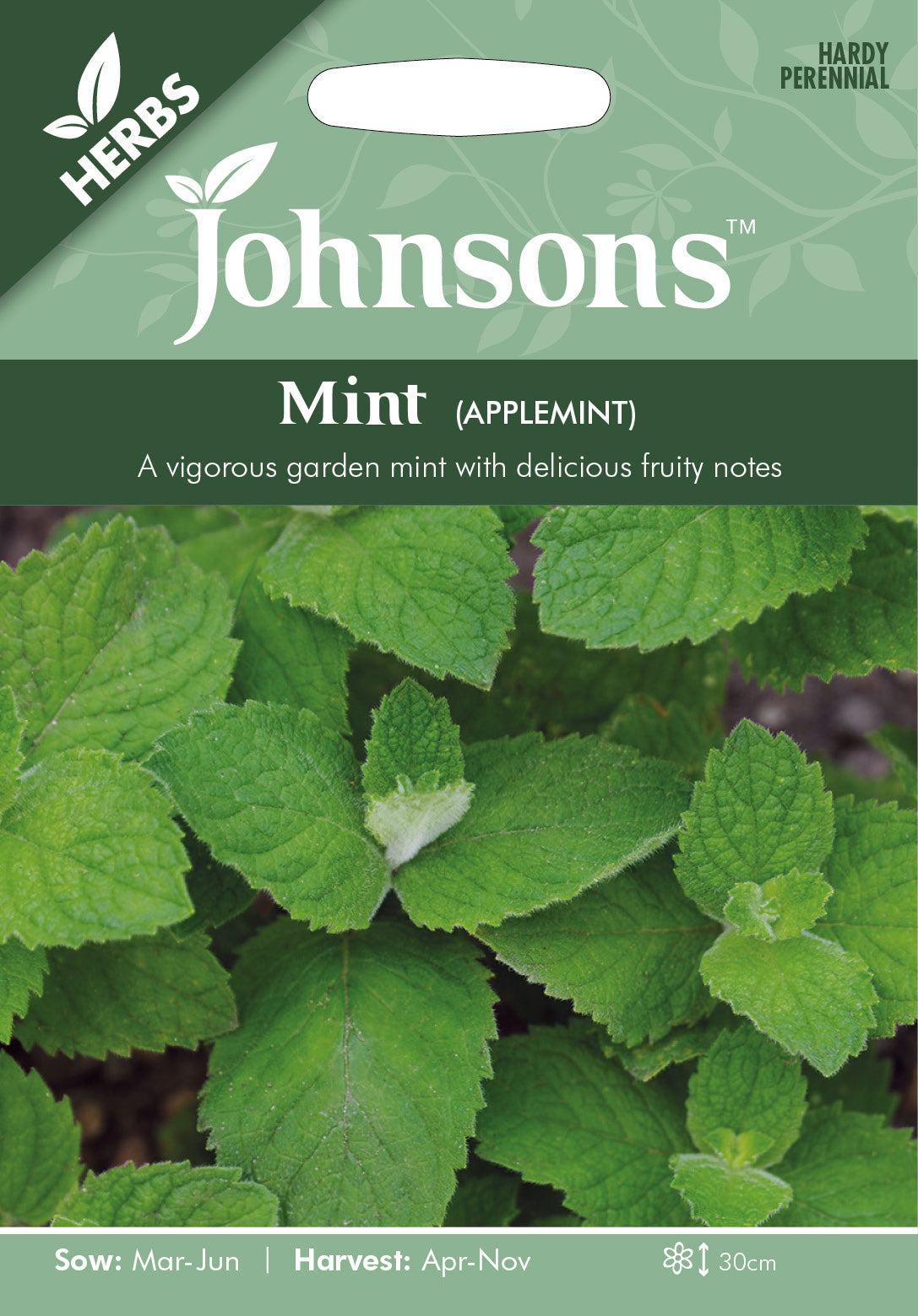 MINT Applemint