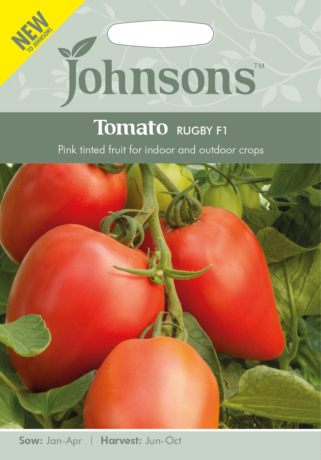 TOMATO Rugby F1