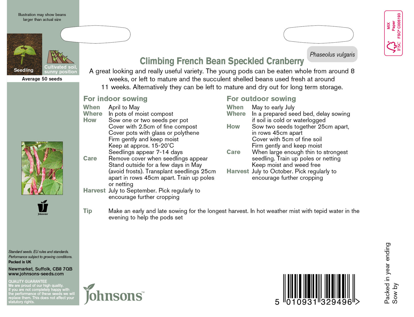 CLIMBING FRENCH BEAN Speckled Cranberry