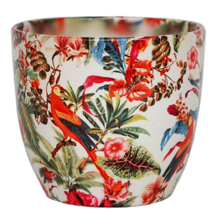 Monza Tropical Parrot H15.5Cm D15.5Cm