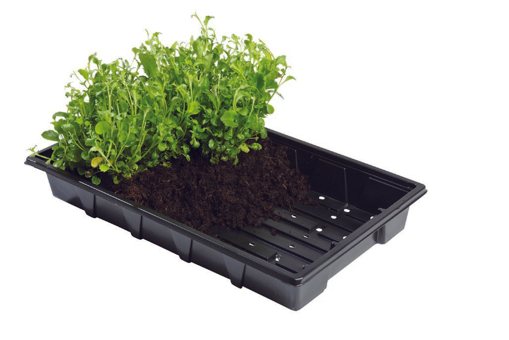Professional Seed Trays