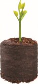 20 Coir Growing Pellets