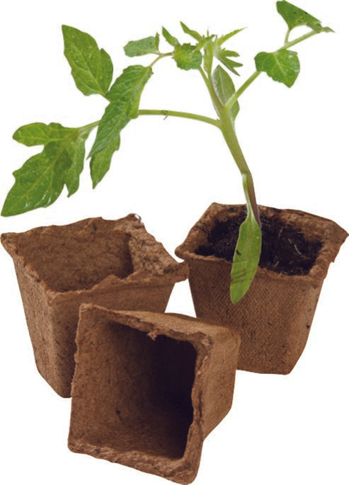 20 6cm Square Fibre Pots