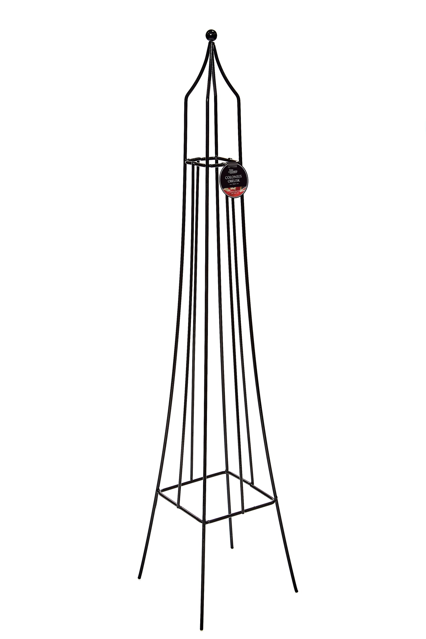 Colonius Small