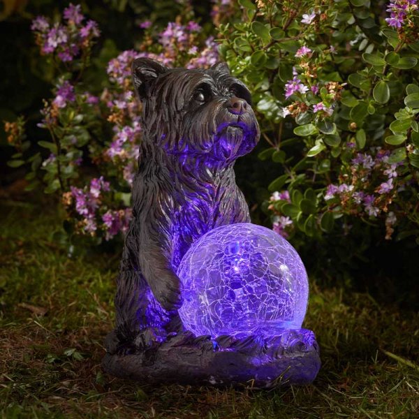Solar Mystic Dog
