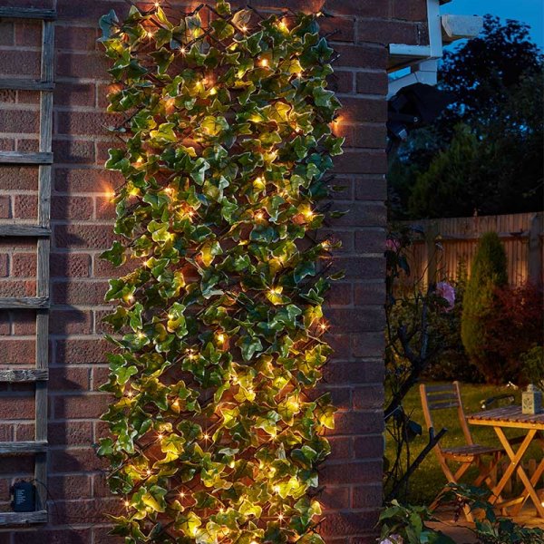 Solar In Lit Ivy Trellis 75Led