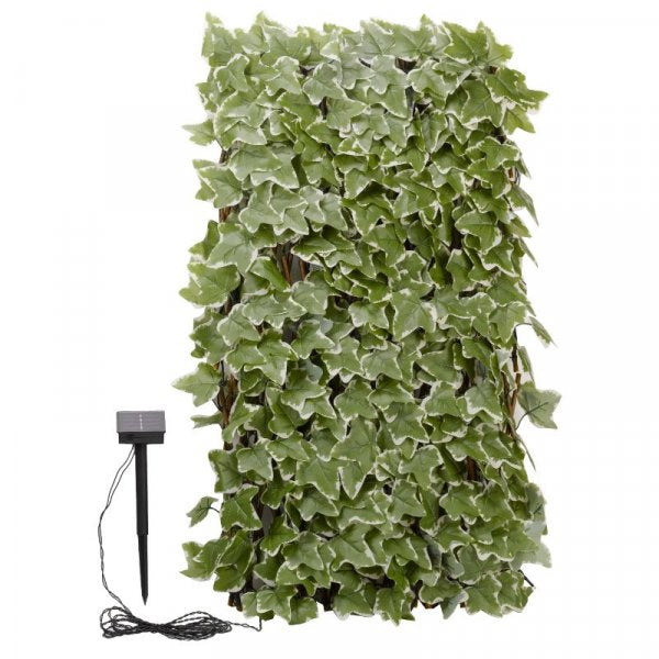 Solar In Lit Ivy Trellis 75Led
