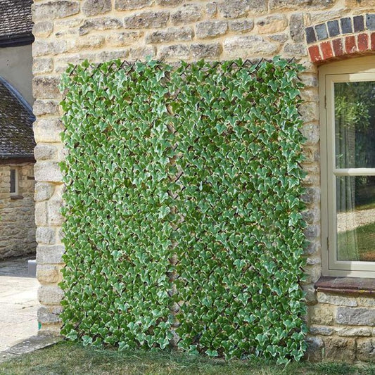Ivy Leaf Trellis 180X90Cm