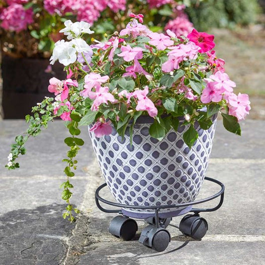 Elegance Pot Caddy 25Cm