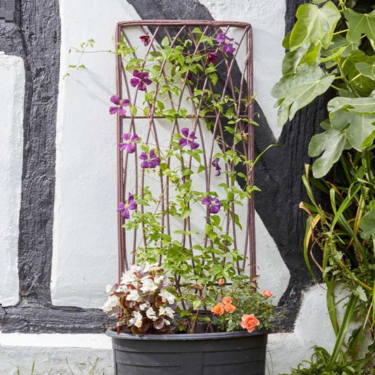 Faux Trellis Rectangular Nat 1.8X0.6M