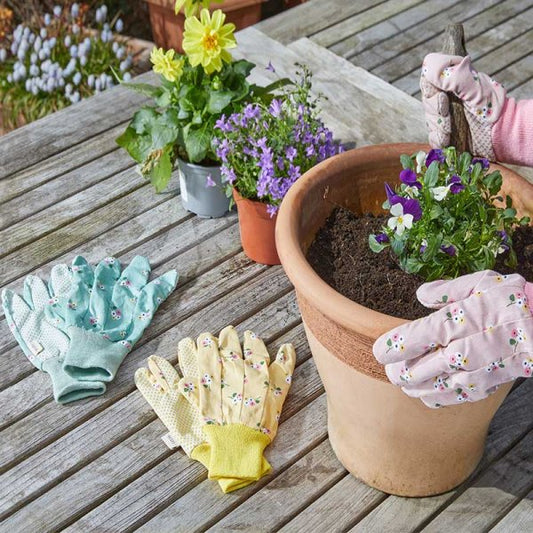 Cotton Grips Posies Med Size 8 3Pk