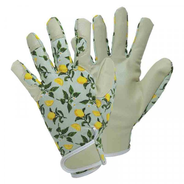 Smart Gardener Sicilian Lemon Med Size 8