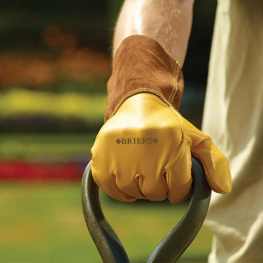 Ultimate Golden Leather Gauntlets Lrg