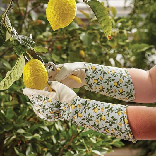 Sicilian Lemon Garden Gauntlets Med