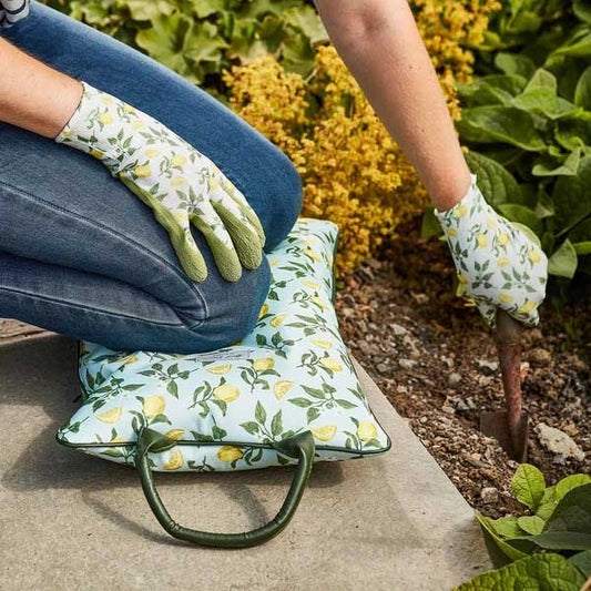 Sicilian Lemon Kneeler