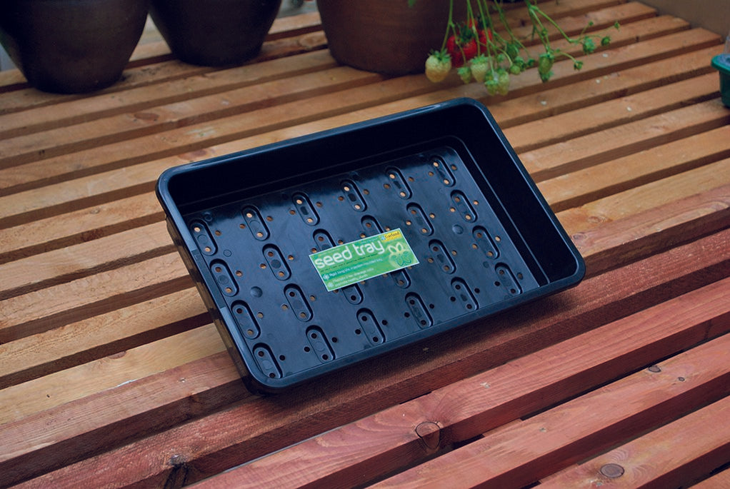 Standard Seed Tray Black