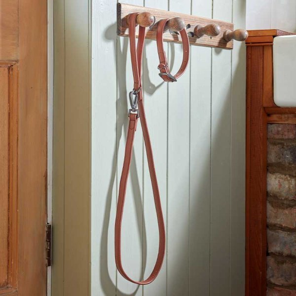 Tan Luxe Leather Lead