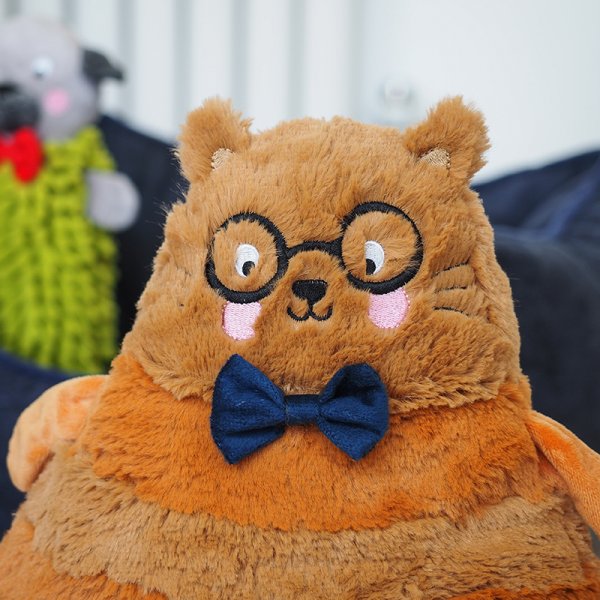 Tubby Tango Cat Playpal