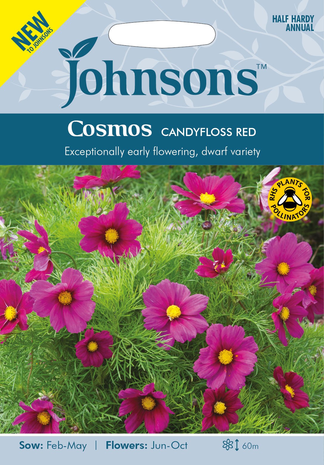 COSMOS Candyfloss Red