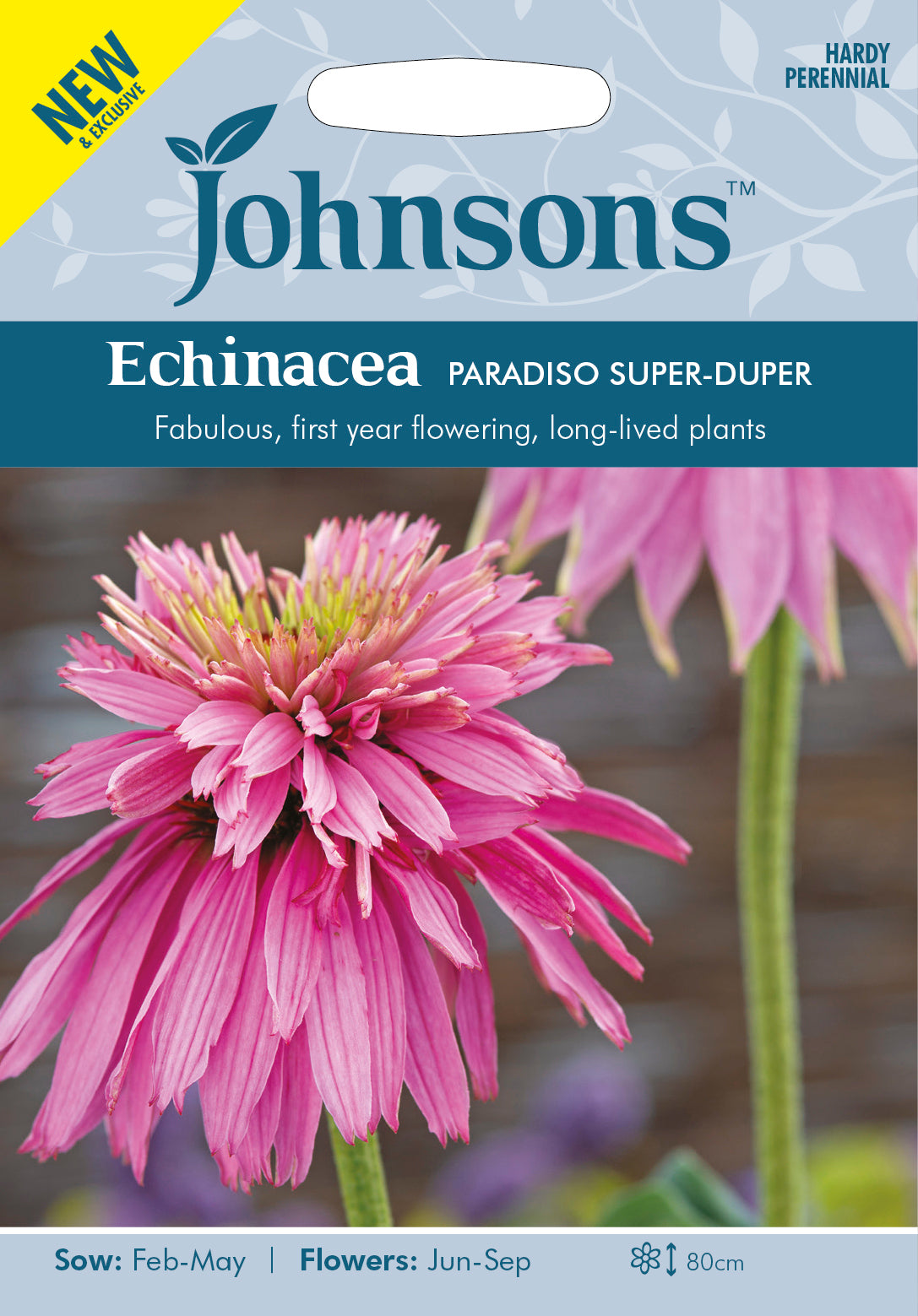 ECHINACEA Paradiso Super-Duper