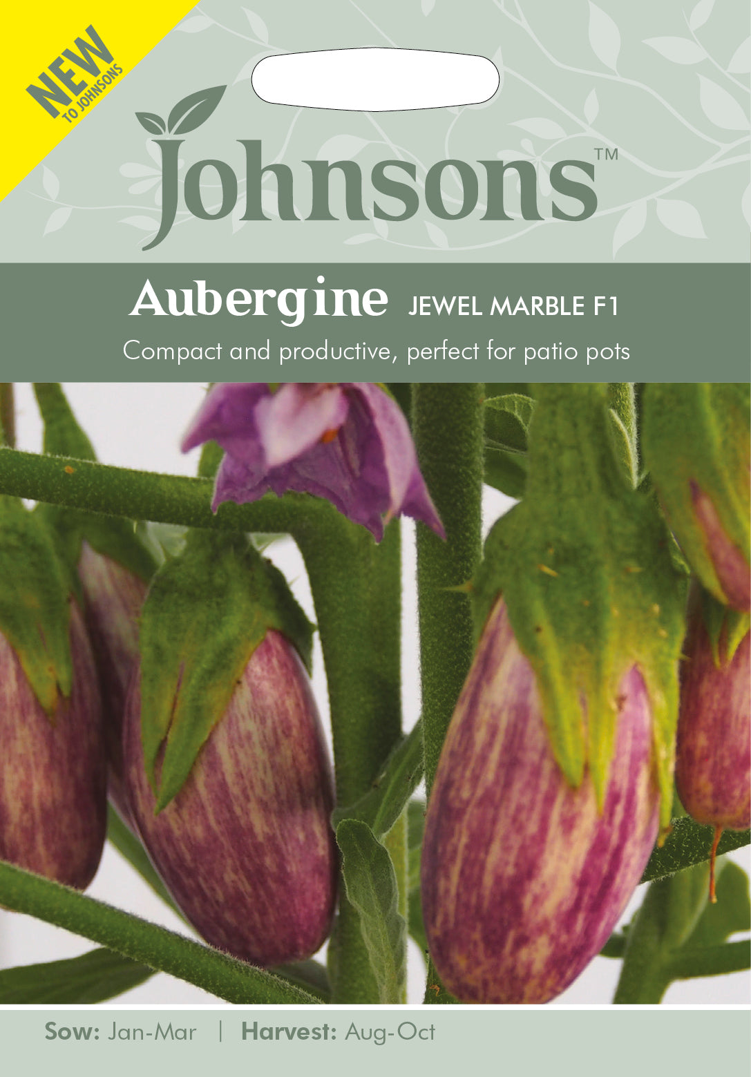 AUBERGINE Jewel Marble F1
