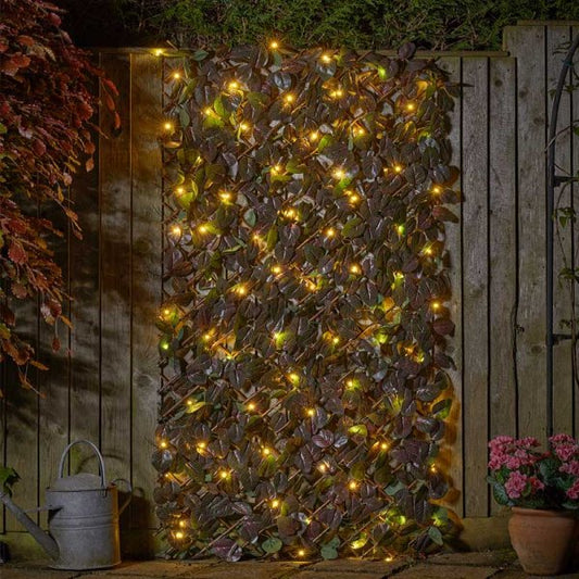 Solar In Lit Purple Haze Trellis 50Led