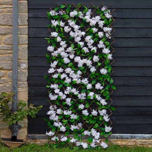 Cherry Blossom Trellis 180 X 60Cm
