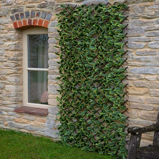 Hosta Leaf Trellis 180 X 60Cm