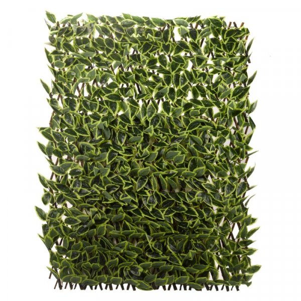 Hosta Leaf Trellis 180 X 60Cm