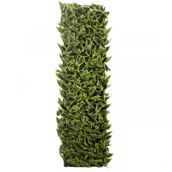 Hosta Leaf Trellis 180 X 90Cm