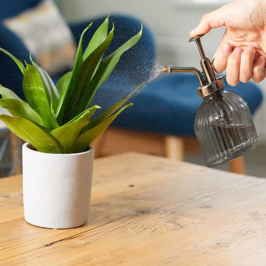 Plant Mister 250Ml