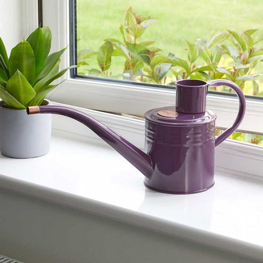 Home & Balcony Watering Can Violet 1L