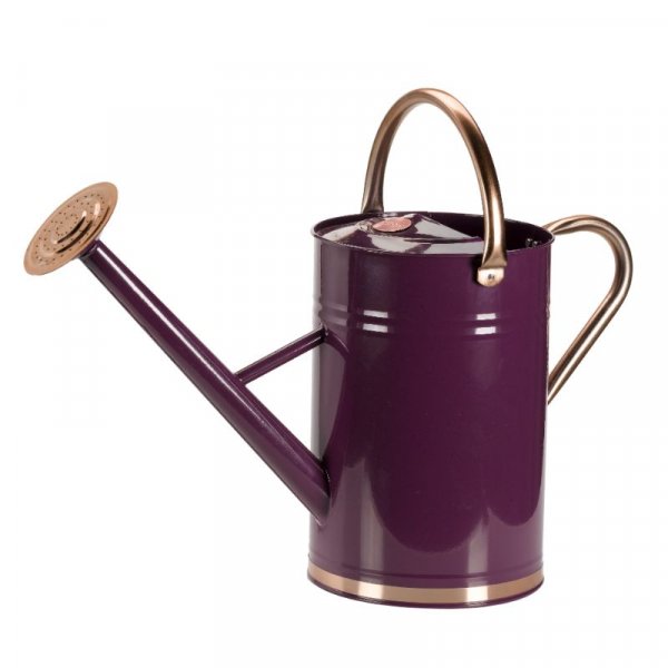 Watering Can Violet 4.5L